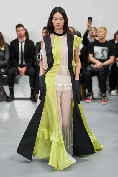 Look 7